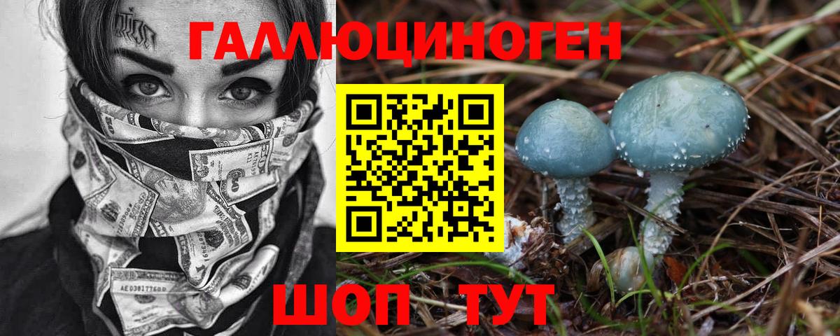 Санкт-Петербург  Галлюциногенные грибы GOLDEN TEACHER  где продают наркотики  Вход с VPN 